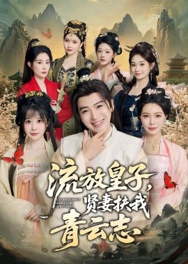 流放皇子，贤妻扶我青云志