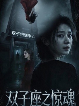 双子座之惊魂