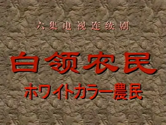 白领农民
