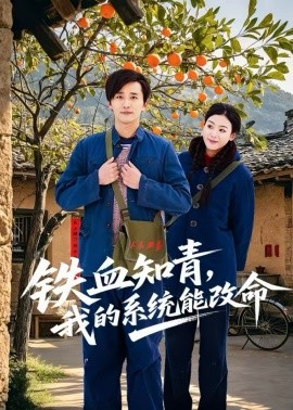 铁血知青，我的系统能改命