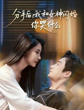 分手后，我和女神闪婚你哭什么 悲欢离合总无情