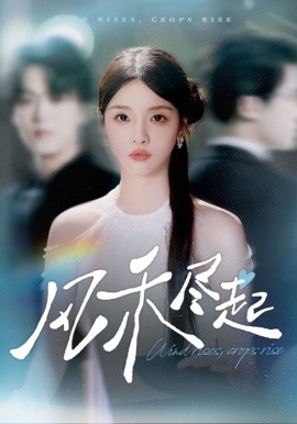 风禾尽起