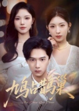 鸠占鹊巢 顶流夫人的致命陷阱