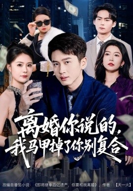 离婚你说的，我马甲掉了你别复合