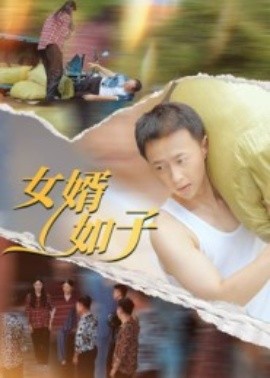 女婿如子