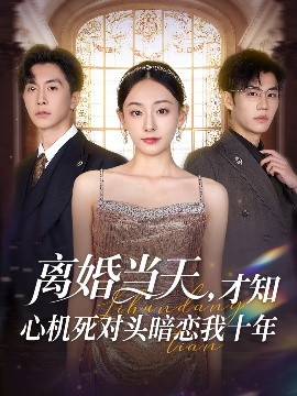 离婚当天，才知心机死对头暗恋我十年