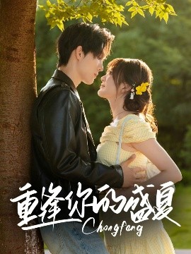 重逢你的盛夏