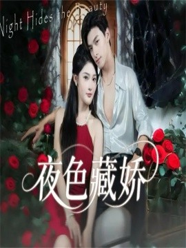 夜色藏娇