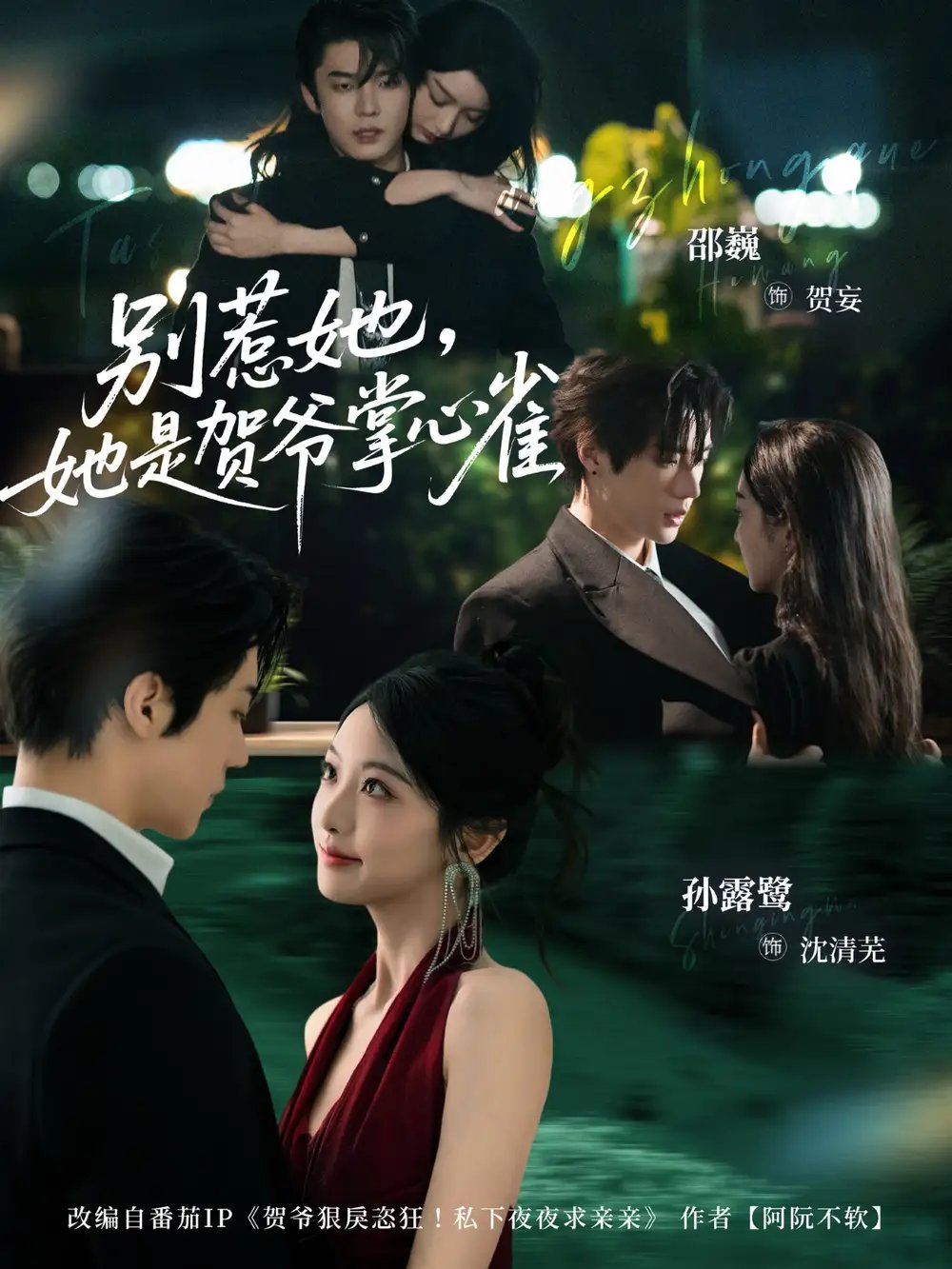 别惹她，她是贺爷掌心雀