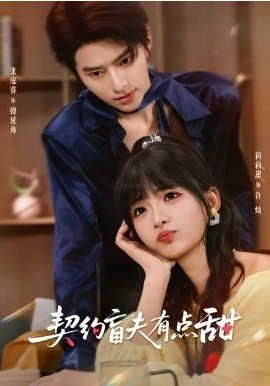 契约盲夫有点甜