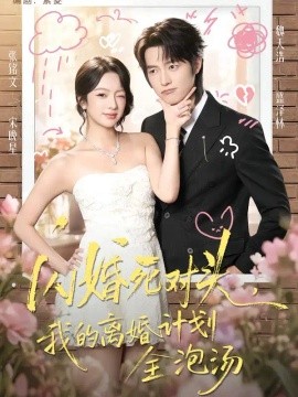 闪婚死对头，我的离婚计划全泡汤